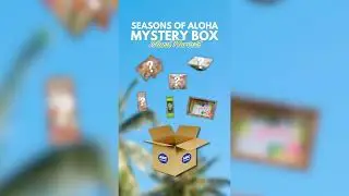 Island Harvest Mystery Box: Sneak Peak #2