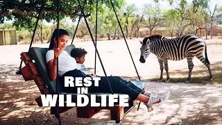 Rest in Wildlife Cinematic vlog with Sony 70-200 f2.8 GM