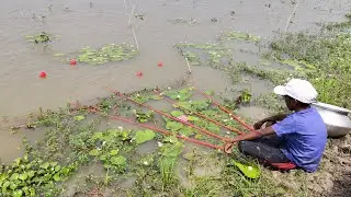 Amazing Hook Fishing 2026 | Catch Fish by Fish Hook From River With Beautiful Nature