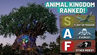 Disney Animal Kingdom Rides