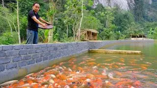 Man Builds 70 Meter Pond Wall Using Homemade Bricks for 5,000 Fish Farm
