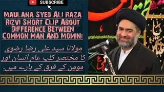 Maulana Syed Ali Raza Rizvi Short Clip About Difference Between Common Man And Momin!