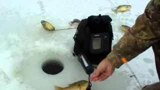 Small Pond Ice Fishing