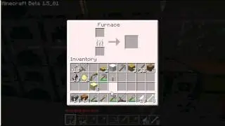My Pet Skeleton