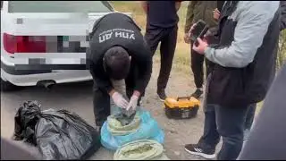 Suspects detained for transporting large amounts of marijuana in Zhambyl region