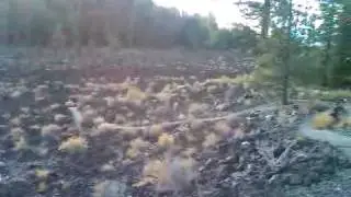 Lava Cast Mountain
