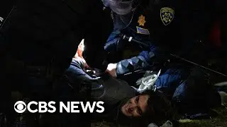 How violence erupted at UCLA protest