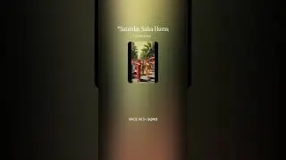 Saturday Salsa Horns