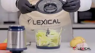 Hachoir Electrique Avec Bol en Verre Lexical