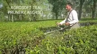 Agrosoft Tea Pruner ( Model -ASG45L)