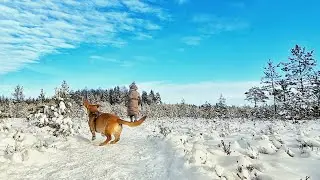 Прогулка с собакой по волшебным зимним пейзажам | Dog walk with epic wievs and calm music. Slow tv
