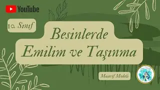 11) 10. SINIF BİYOLOJİ  - İNSANDA SİNDİRİM 3 (Emilim ve Taşınma) 