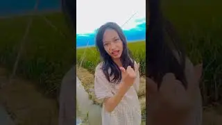 plakata disawah #shortsviral #masukberanda #shortsfeed #cahiya #shortvideo #fypshorts #plataka