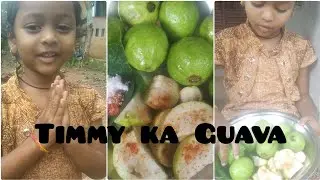 Timmy is eating Guava