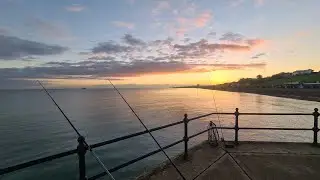 PIER FISHING for Anything ! Unexpected species caught on trip #pier fishing #thamesestuary