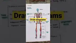 How to master Biology concepts? #shorts | Tishaleneshashikumar