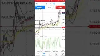 Forexfreedom