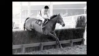 Dominic Behan     Arkle