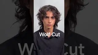 Wolf Cut #shorts #explore