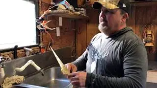HOW TO PRCESS WILD HOG MEAT