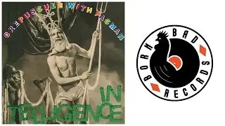 The Intelligence - I Walk In a Lonely Light