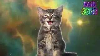 CatFails // Ultimate Music Fail