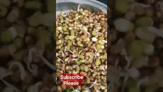 Sprought मोठ,मूंग #youtubevideos viral trending short #religion