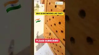The way this resin bee moves! #shorts #india