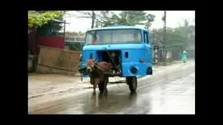 CJ Bollard - Horse Power