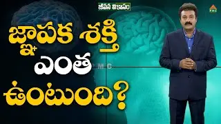 Memory power secrets, Increase Brain Power tips in telugu #drsreedharvittalam #pmchealth