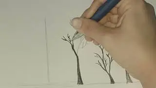 Trees