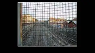 elettrojoyce disfatta domenicale