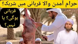 Haram amdan vala qurbani me sharik, qurbani ho gi ya nahi? Mufti Tariq Masood. Murshad MTM.