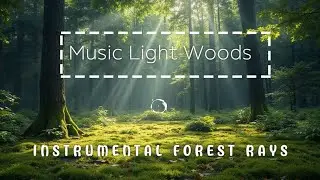 Sun-Kissed Forest Retreat for Instrumental Indie Folk | Perfect Ambient with Indie Folk Music