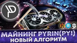 ✅ Майнинг Pyrin на новом алгоритме Pyrinhashv2. Настройка на HiveOS, RaveOS, windows