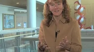 Сьюзен Макконнелл (Стэнфорд): Важность хорошего выступления