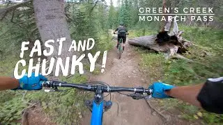 Green's Creek | Monarch Pass, CO