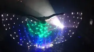 LED Lichtshow DELiGHTFUL mit S.W.A.P. Sabrina Wolfram ART PROJECT aus Heidelberg