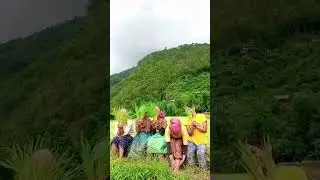 maakai bari dareyam dareyam