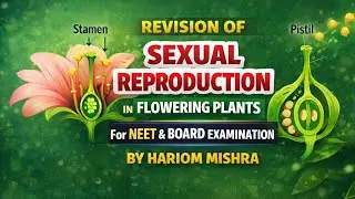 REVISION OF SEXUAL REPRODUCTION IN FLOWERING PLANTS || NEET. | CUET || ONE SHOT || By : HARIOM SIR