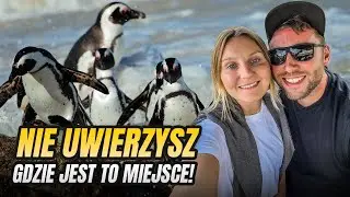 Plaża, na której spotkasz pingwiny