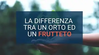 L’avvocato possiede un orto, il commercialista e il consulente del lavoro gestiscono un frutteto.