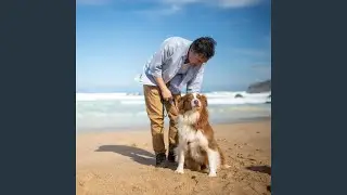 Gentle Harmonies for Serene Pets