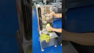 MNS-XP200 Small Mango Fruit Peeling Machine/ Peeler for Pineapple
