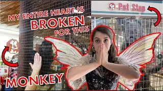 HELP SAVE FRANKIE THE MONKEY