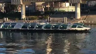 Tokyo Walk Sumida River Terrace 1