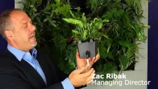 Watermatic 'Aerogation' Active Green Wall System