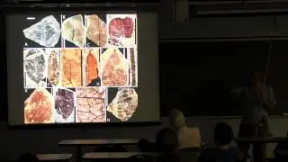 140 Million years of Tropical Landscape Evolution