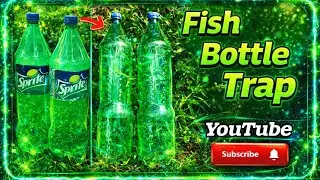 How to make fish trap with plastic bottle