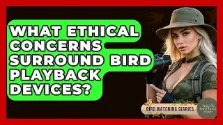 What Ethical Concerns Surround Bird Playback Devices? - Bird Watching Diaries